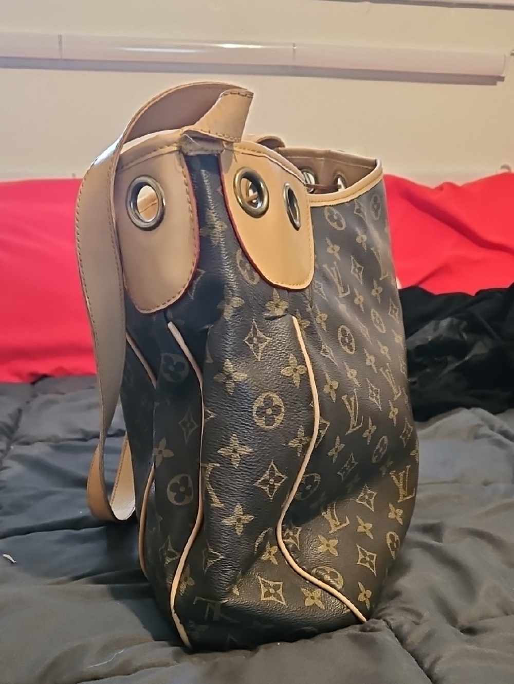 Louis Vuitton Monogram Galleria PM Leather Tote Bag - Picture 6 of 10